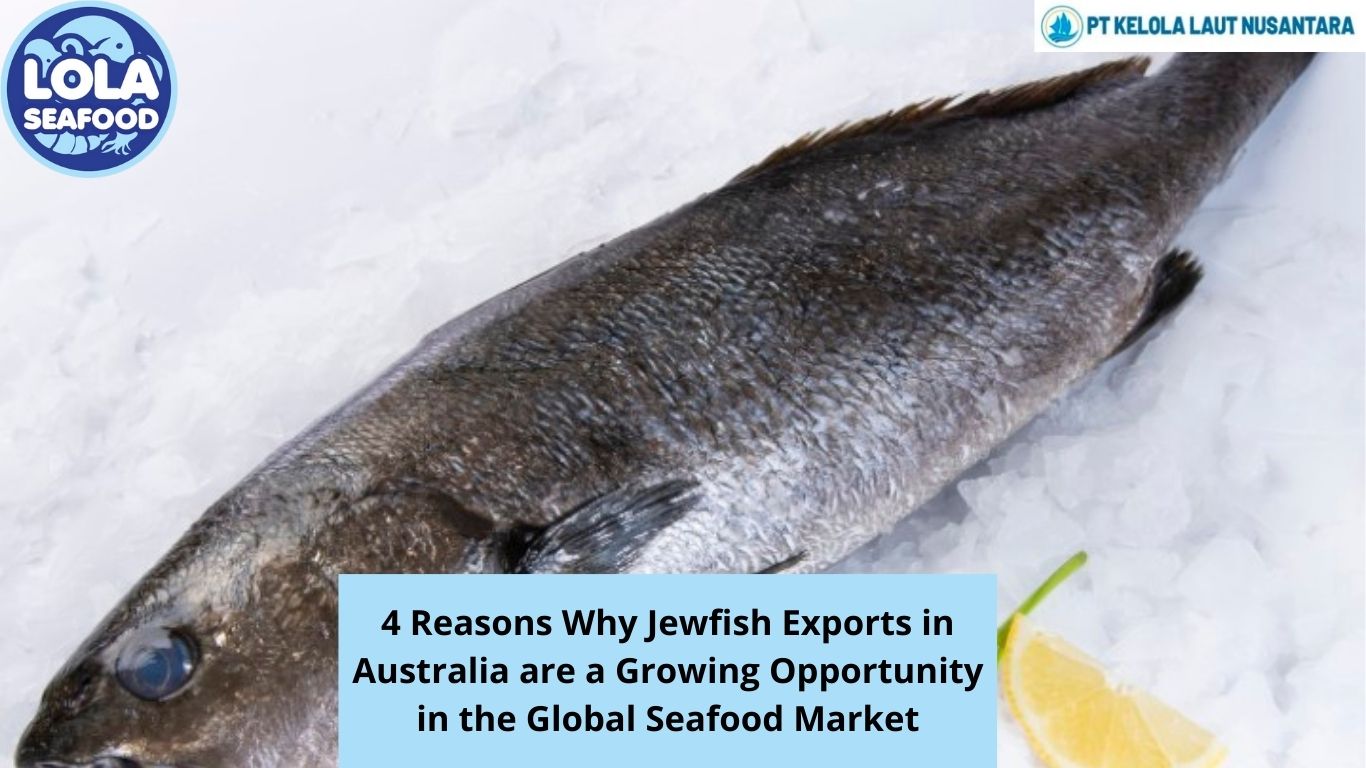 4 Reasons Why Jewfish Exports in Australia are a Growing Opportunity in the Global Seafood Market